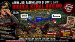 Arena Judi Sabung Ayam Diduga Kebal Hukum, Warga Pertanyakan Nyali Aparat di Luwu