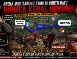 Arena Judi Sabung Ayam Diduga Kebal Hukum, Warga Pertanyakan Nyali Aparat di Luwu